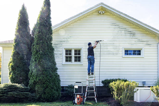 Best Gutter Cleaning and Brightening in USA